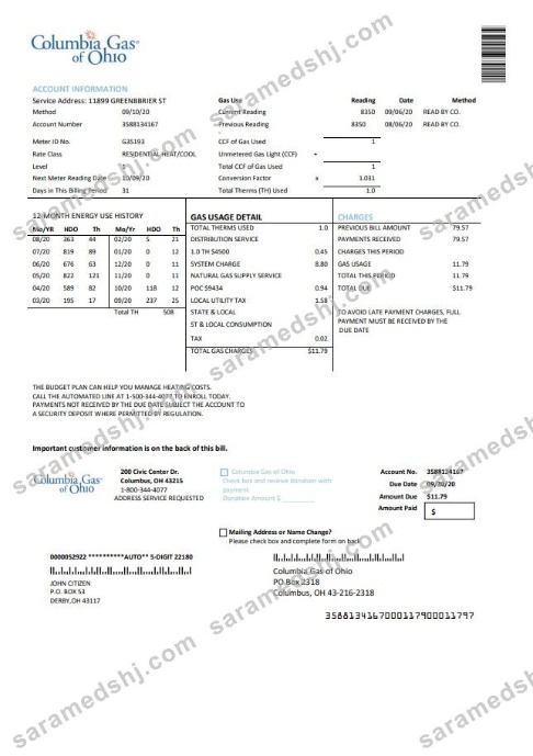 USA Columbia Gas of Ohio utility bill template in Word and PDF format